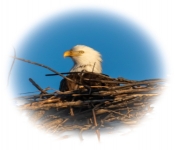 2023 02 11 RedwingEagles 025